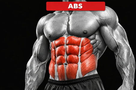 Ab muscles